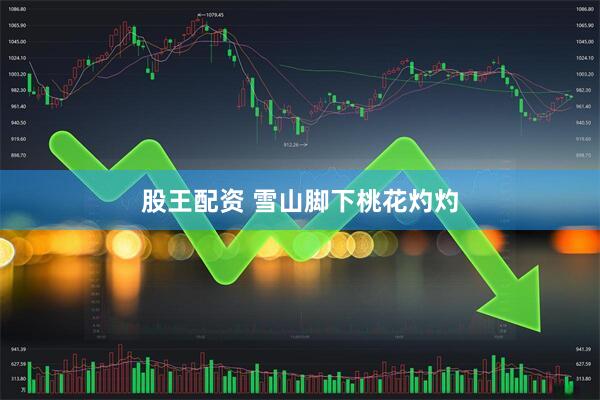 股王配资 雪山脚下桃花灼灼