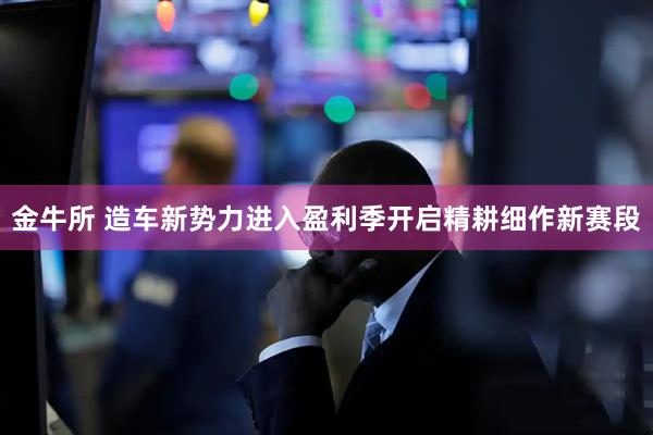 金牛所 造车新势力进入盈利季开启精耕细作新赛段