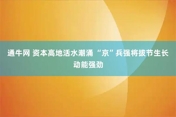 通牛网 资本高地活水潮涌 “京”兵强将拔节生长动能强劲