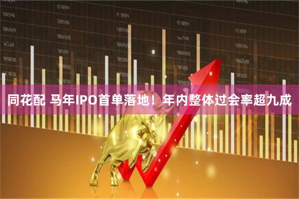 同花配 马年IPO首单落地！年内整体过会率超九成