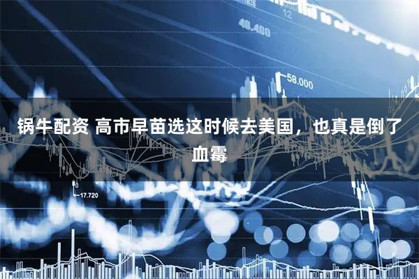 锅牛配资 高市早苗选这时候去美国,也真是倒了血霉