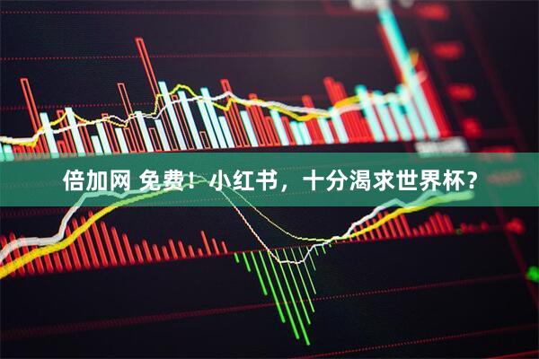倍加网 免费!小红书,十分渴求世界杯?