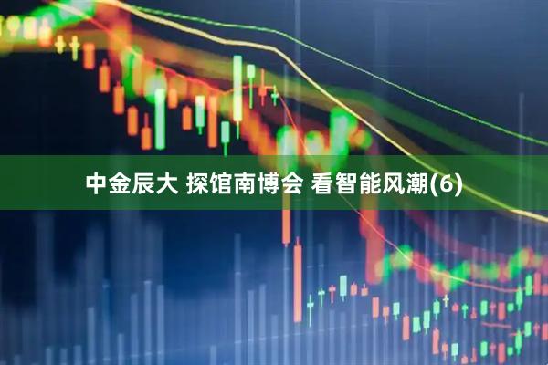 中金辰大 探馆南博会 看智能风潮(6)