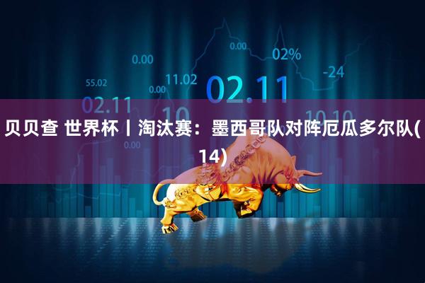 贝贝查 世界杯丨淘汰赛：墨西哥队对阵厄瓜多尔队(14)