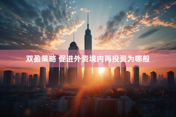 双盈策略 促进外资境内再投资为哪般