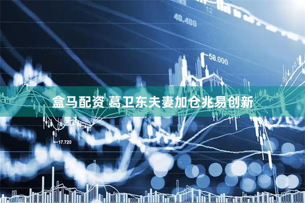 盒马配资 葛卫东夫妻加仓兆易创新