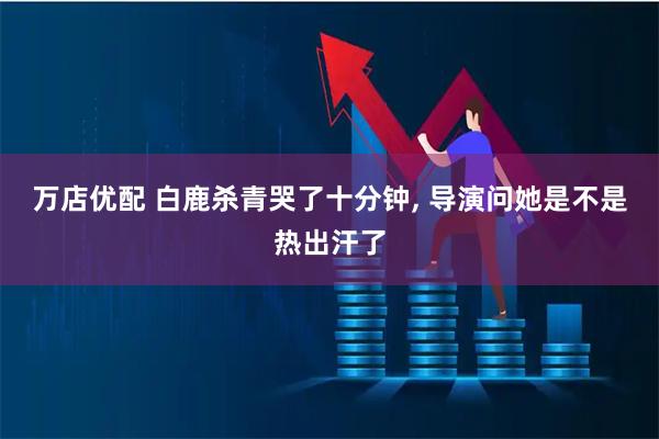 万店优配 白鹿杀青哭了十分钟, 导演问她是不是热出汗了